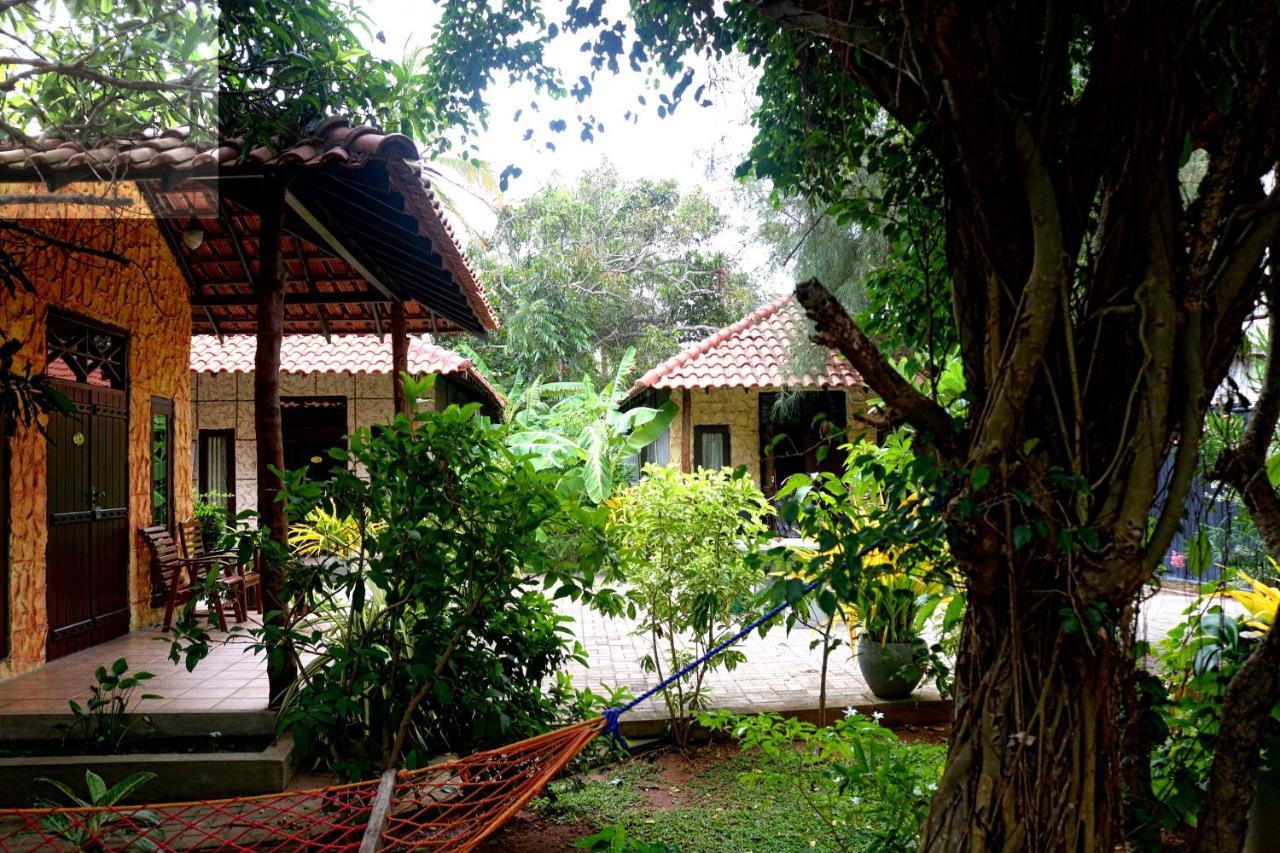 Maple Leaf Hotel Negombo Dış mekan fotoğraf